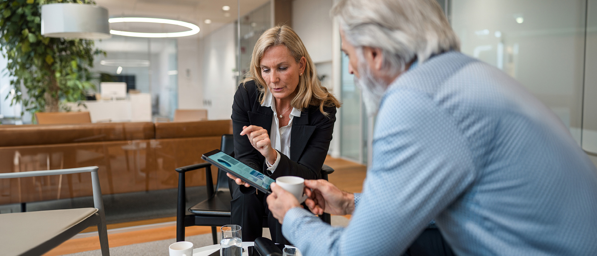 An introduction to the active-passive framework 