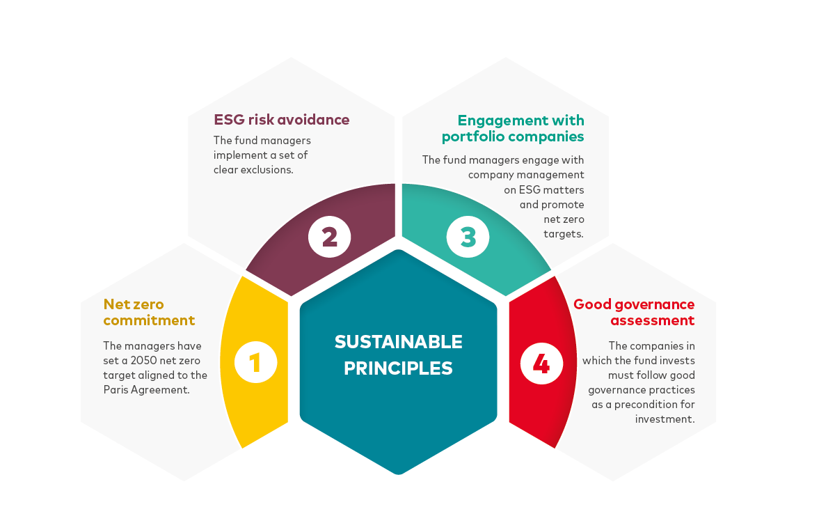 Image of Vanguards Four Sustainable Principles. 1 - Net Zero Commitment: The managers have set a 2050 net zero target aligned to the Paris Agreement. 2 - ESG Risk Avoidance: The fund managers implement a set of clear exclusions. 3 - Engagement With Portfolio Companies: The fund managers engage with company management on ESG matters and promote net zero targets. 4 - Good Fovernance Assessment: The companies in with the fun invests must follow good governance practices as a precondition for investment.